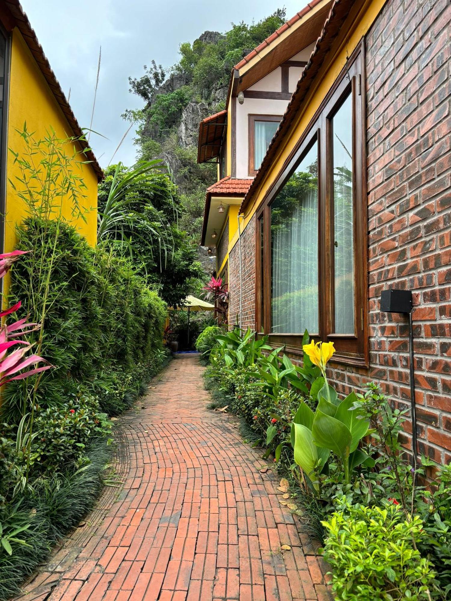 Papaya Bungalow & Rice Fields Apartment Нин Бин Екстериор снимка